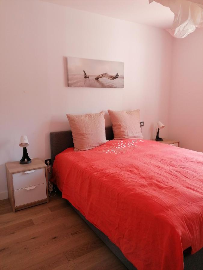 Superbe Appartement Face Au Lac D'Hossegor 索尔特奥瑟戈尔 外观 照片