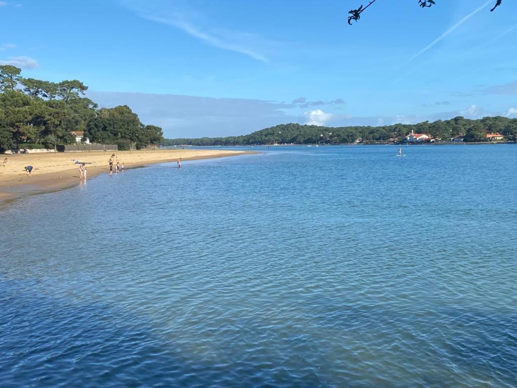 Superbe Appartement Face Au Lac D'Hossegor 索尔特奥瑟戈尔 外观 照片